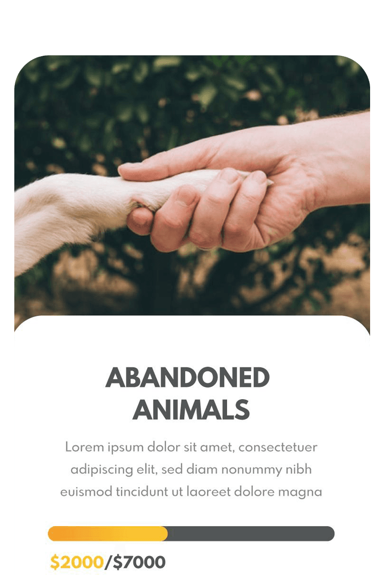 App screen — profile