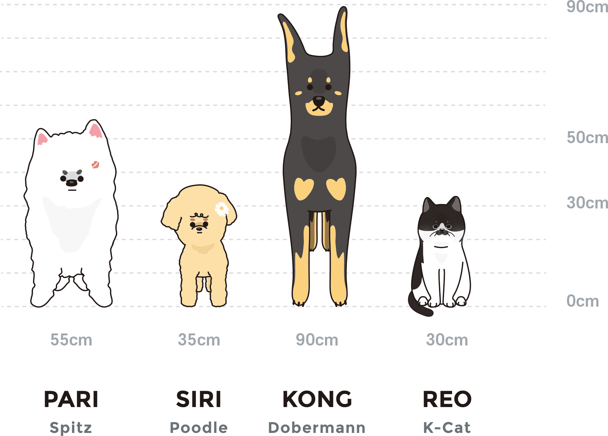 Pari (55cm), Siri (35cm), Kong (90cm), and Reo (30cm) shown at their true relative heights