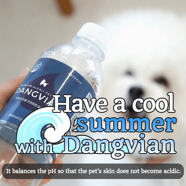 Have a Cool Summer with Dangvian banner