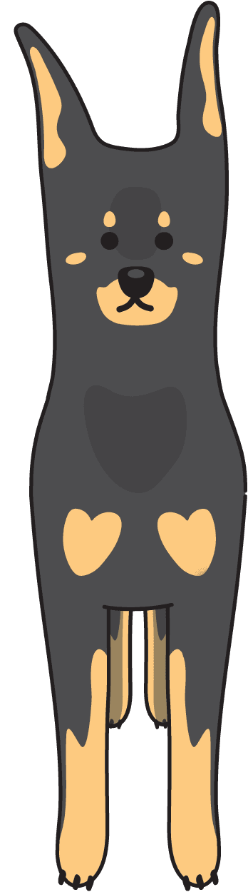 Dobermann illustration