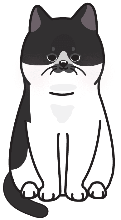 K-Cat illustration