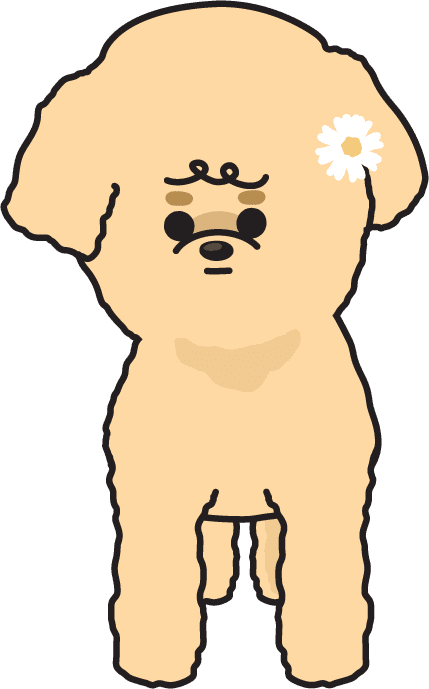 Poodle illustration