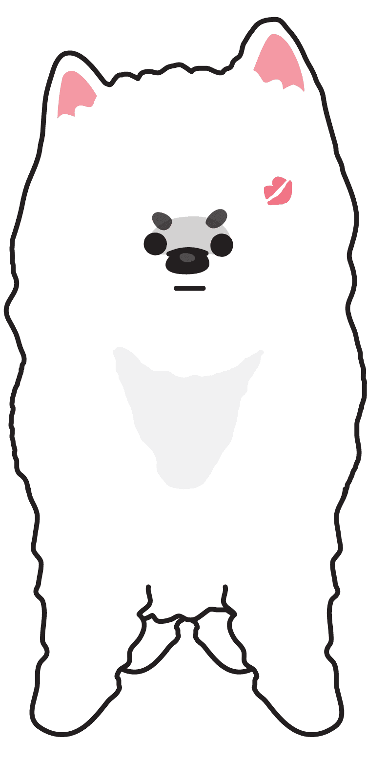 Spitz illustration