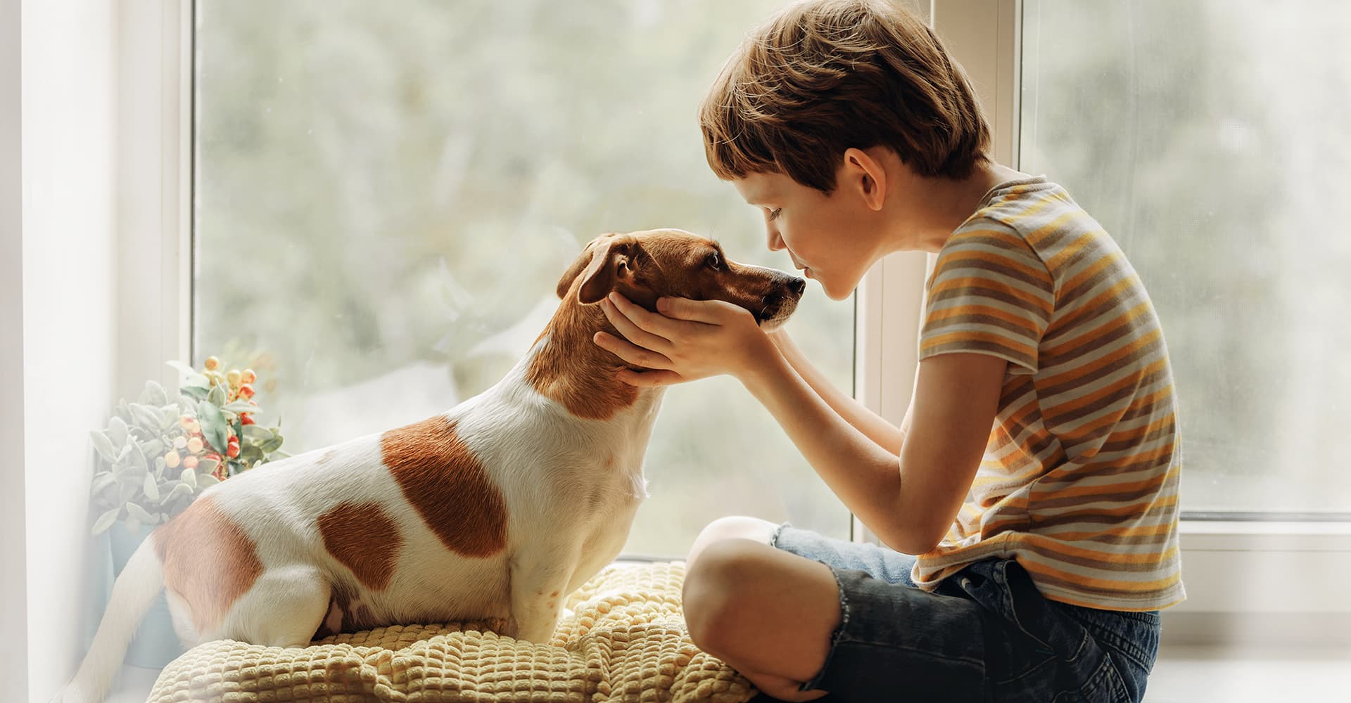 A child gently holding a dog's face at home